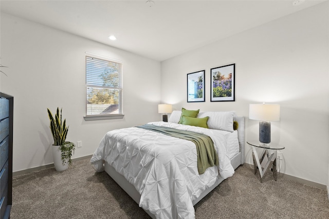 64 Dipping Ln, Houston, TX 77076 - carpeted bedroom featuring baseboards and recessed lighting
