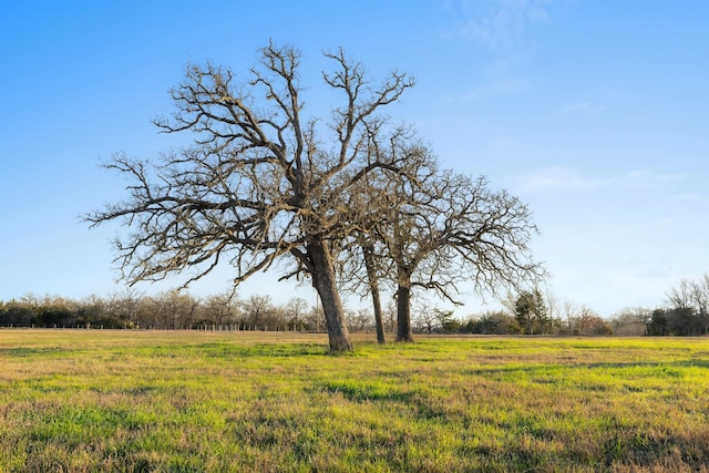 3.514AC LOT2S County Road 410, Somerville, TX 77879 - photo 4