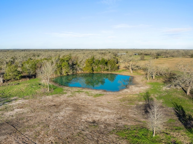 3.514AC LOT2S County Road 410, Somerville, TX 77879 - photo 1
