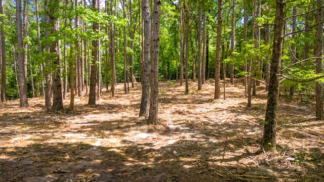 TBD Park St, Nacogdoches, TX 75961
