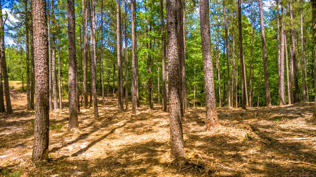 TBD Park St, Nacogdoches, TX 75961