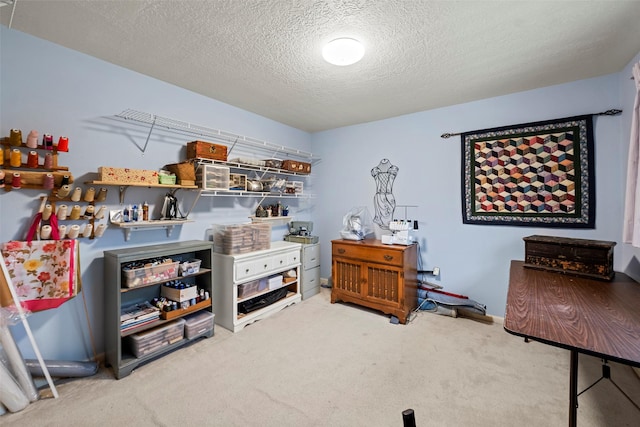 16107 York Minster Dr, Spring, TX 77379 - miscellaneous room with carpet and a textured ceiling