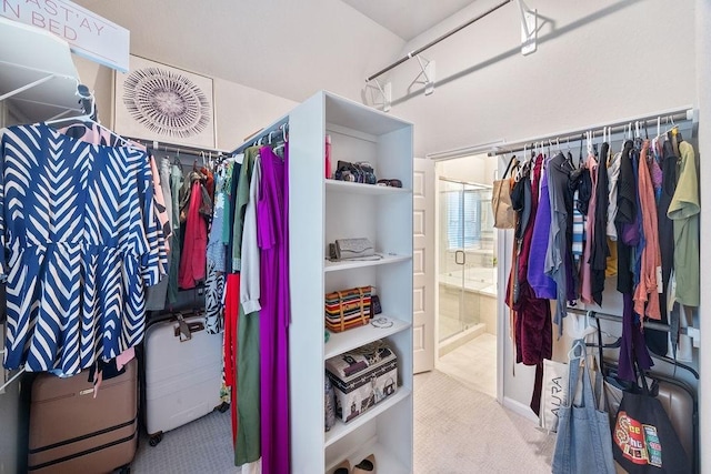 4008 Centre Glen Dr, Houston, TX 77043 - spacious closet with carpet