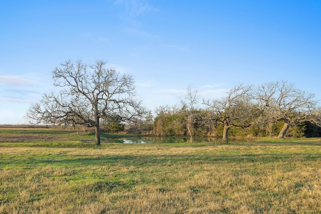 3.514AC LOT2N County Road 410, Somerville, TX 77879 - photo 7