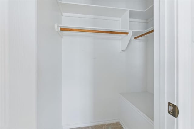 407 W Main St, Brenham, TX 77833 - view of walk in closet