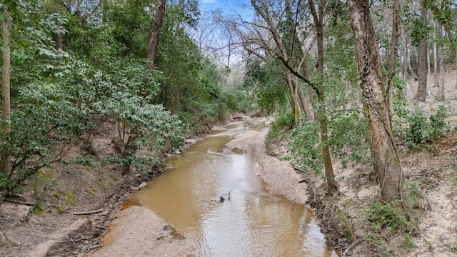 827 Magnolia St, Livingston, TX 77351 - water view