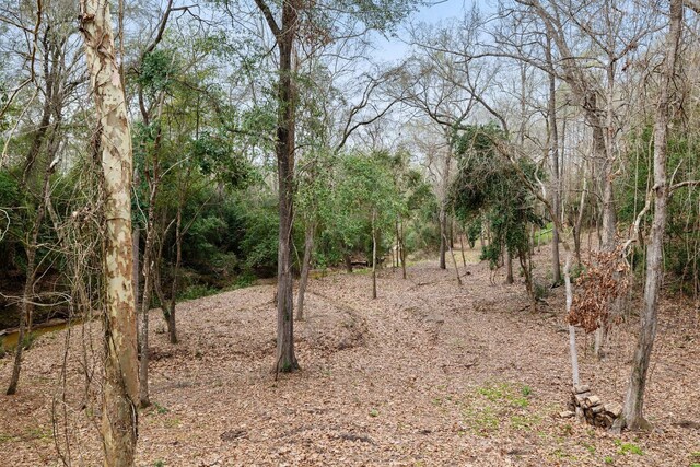 827 Magnolia St, Livingston, TX 77351 - view of local wilderness
