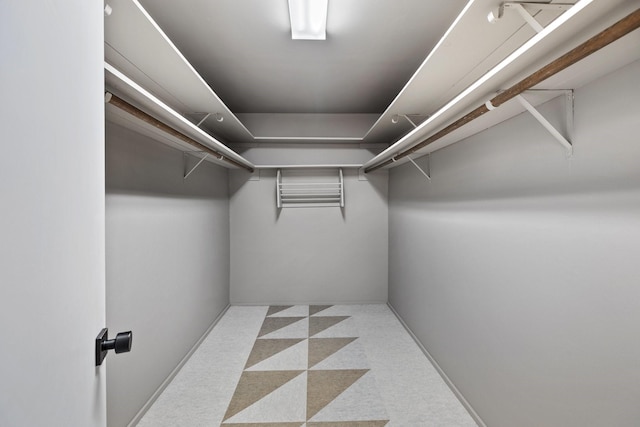 827 Magnolia St, Livingston, TX 77351 - spacious closet featuring carpet floors