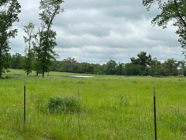 CR235 County Road 235, Oakwood, TX 75855 - photo 6