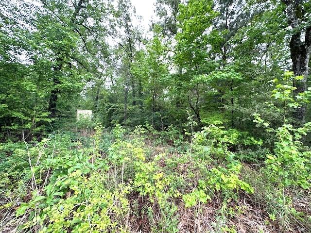 CR235 County Road 235, Oakwood, TX 75855 - photo 7