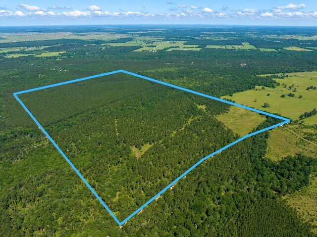 0 Bo Brown Rd, Trinity, TX 75862 - photo 1