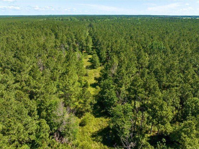 0 Bo Brown Rd, Trinity, TX 75862 - photo 2
