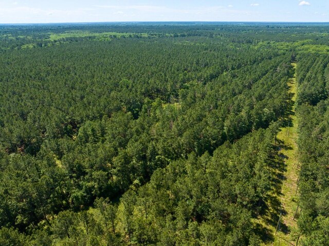 0 Bo Brown Rd, Trinity, TX 75862 - photo 3