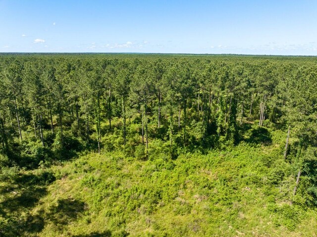 0 Bo Brown Rd, Trinity, TX 75862 - photo 20