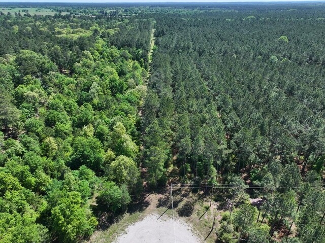 0 Bo Brown Rd, Trinity, TX 75862 - photo 21