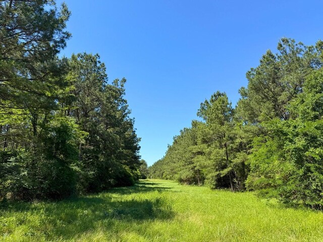 0 Bo Brown Rd, Trinity, TX 75862 - photo 11