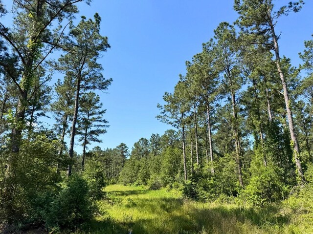 0 Bo Brown Rd, Trinity, TX 75862 - photo 12