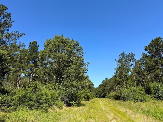 0 Bo Brown Rd, Trinity, TX 75862 - photo 13