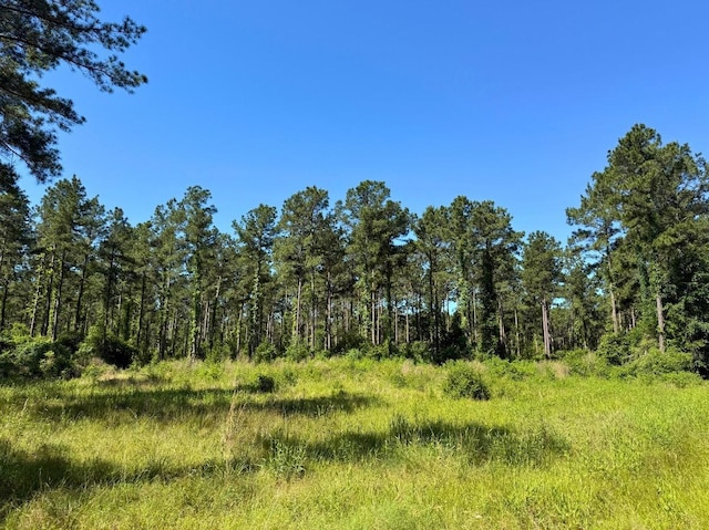 0 Bo Brown Rd, Trinity, TX 75862 - photo 14