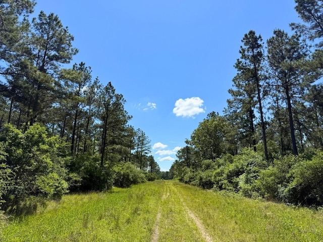0 Bo Brown Rd, Trinity, TX 75862 - photo 16