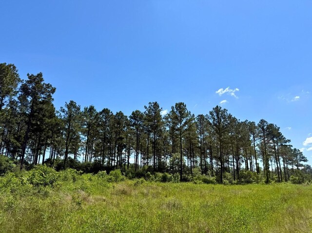 0 Bo Brown Rd, Trinity, TX 75862 - photo 17