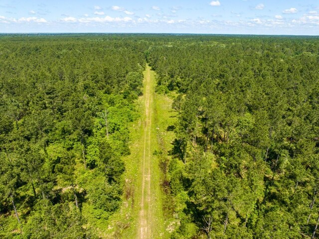 0 Bo Brown Rd, Trinity, TX 75862 - photo 24
