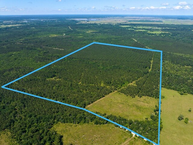 0 Bo Brown Rd, Trinity, TX 75862 - photo 25