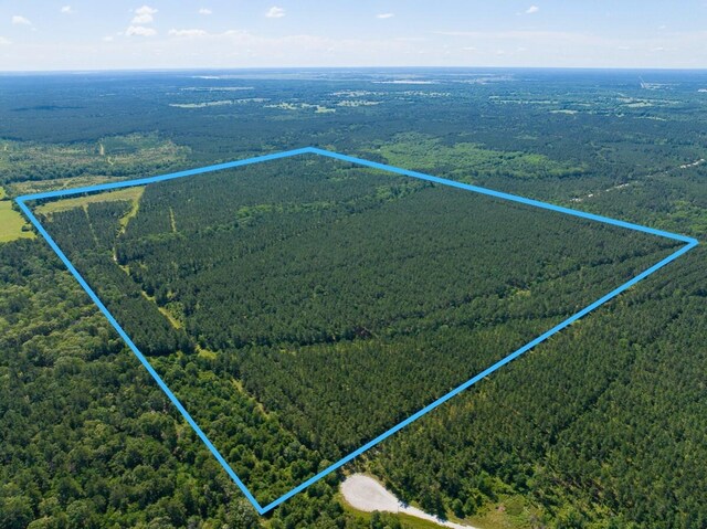 0 Bo Brown Rd, Trinity, TX 75862 - photo 5