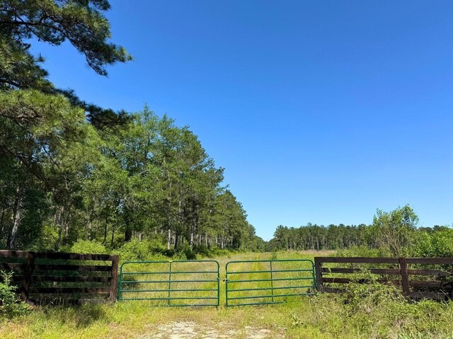 0 Bo Brown Rd, Trinity, TX 75862 - photo 6