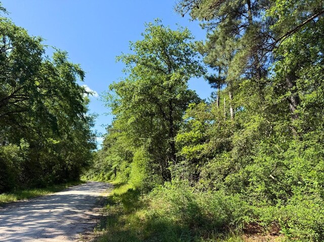 0 Bo Brown Rd, Trinity, TX 75862 - photo 7