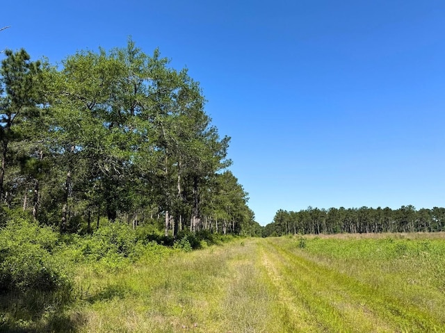 0 Bo Brown Rd, Trinity, TX 75862 - photo 8