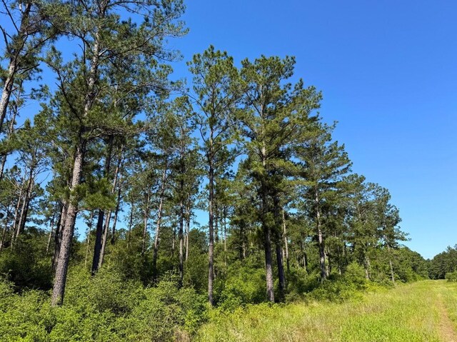 0 Bo Brown Rd, Trinity, TX 75862 - photo 9
