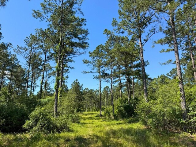 0 Bo Brown Rd, Trinity, TX 75862 - photo 10