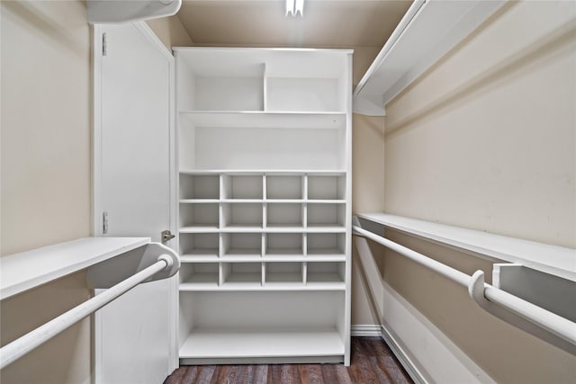 walk in closet featuring dark wood-type flooring