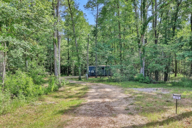 275 Fairview E, Livingston, TX 77351 - view of dirt / gravel road with a wooded view