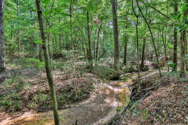 275 Fairview E, Livingston, TX 77351 - view of wooded area