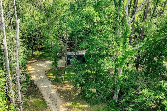 275 Fairview E, Livingston, TX 77351 - view of street featuring a wooded view