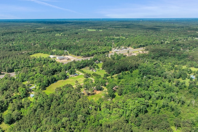 275 Fairview E, Livingston, TX 77351 - view of property location featuring a heavily wooded area