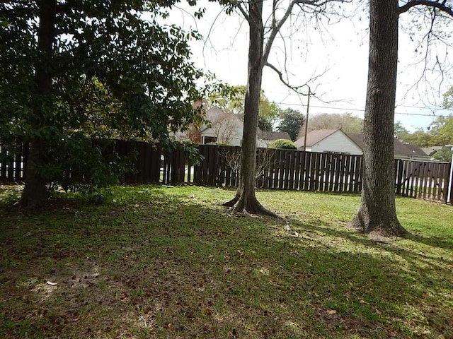 3755 Long Ave, Beaumont, TX 77706 - view of yard