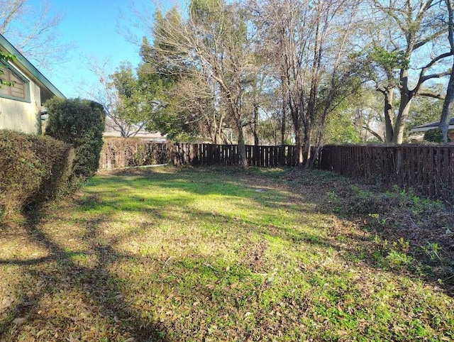 3755 Long Ave, Beaumont, TX 77706 - view of yard