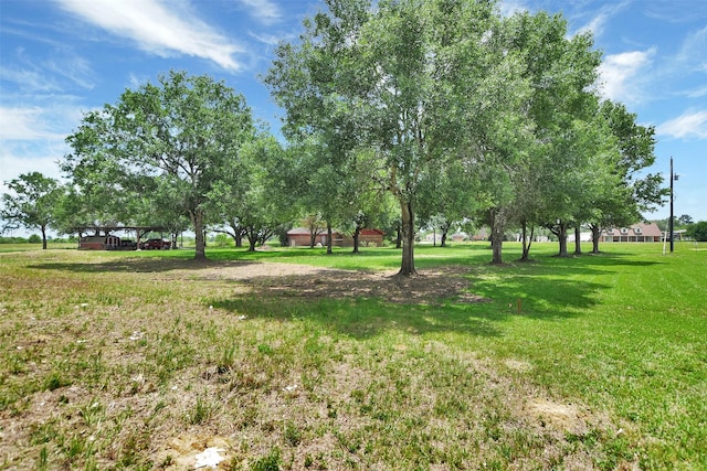 LOT12 White Wing Dr, Waller, TX 77484 - photo 4