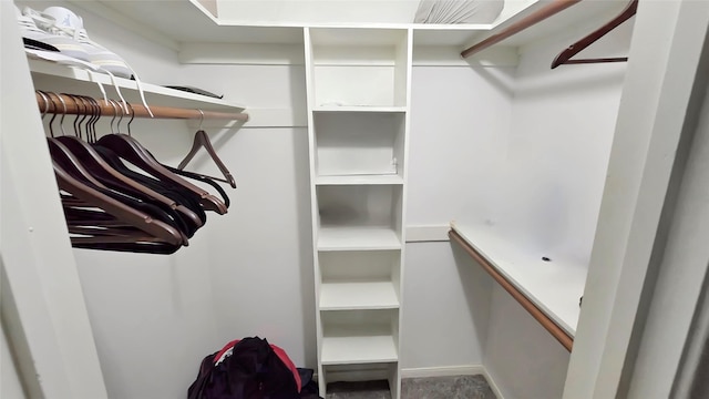 2263 Triway Ln, Houston, TX 77043 - view of spacious closet
