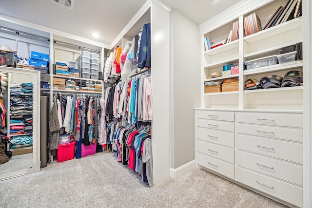 32319 Tall Oaks Way, Magnolia, TX 77354 - spacious closet with carpet floors