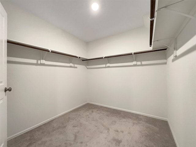 20011 Epirus Shores Dr, Hockley, TX 77447 - walk in closet featuring carpet
