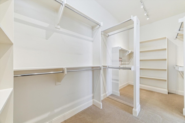 1206 Lake Pointe Pkwy, Sugar Land, TX 77478 - walk in closet with carpet flooring