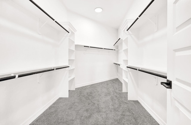 400 Little Spring Ct, Anahuac, TX 77514 - spacious closet featuring carpet floors