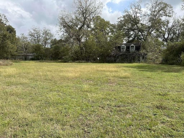 3500 Beaver Creek Dr, Pattison, TX 77423 - view of yard