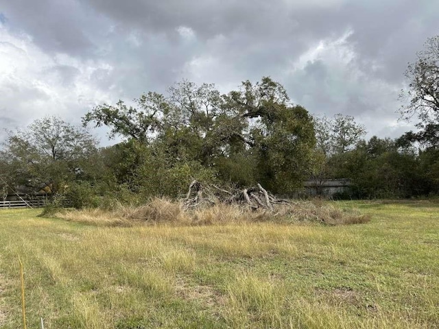 3500 Beaver Creek Dr, Pattison, TX 77423 - view of local wilderness