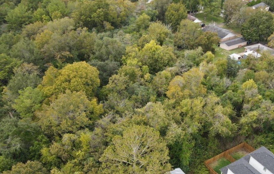 TBD Washington St, Houston, TX 77088 - photo 3