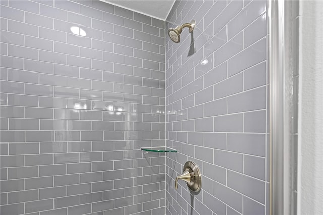 20068 Swinley Forest Dr, Cleveland, TX 77327 - bathroom view of tiled shower